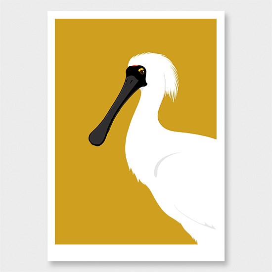 Spoonbill Print