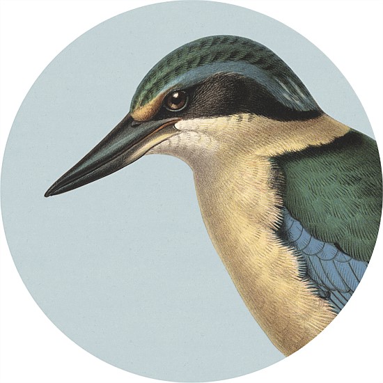 Native Bird Placemat