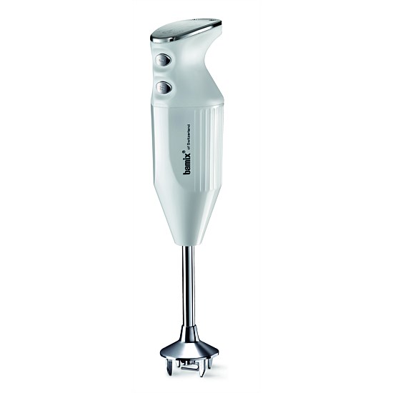 Mono Immersion Blender