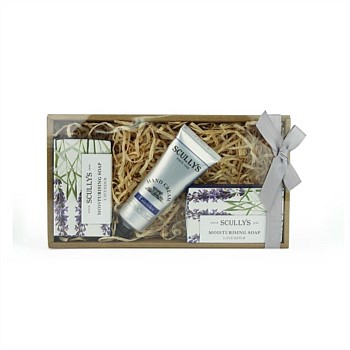 Lavender Kraft HC & Soap Gift