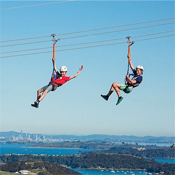 Zipline & Native Forest Experience on Waiheke Island