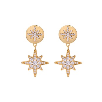 Stellar Rose Earrings 14CT Gold Plate