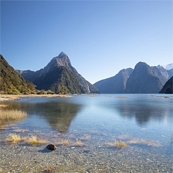 Small Group Milford Sound Day Tour from Queenstown including lunch