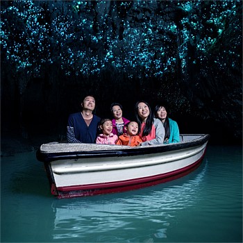 Waitomo Glowworm Caves - Family Entry