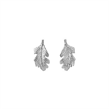 KWJ Leaf Studs