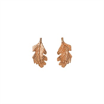 KWJ Leaf Studs