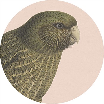 Hushed Kakapo Placemats