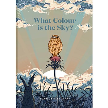 What Colour Is The Sky? By Laura Shallcrass
