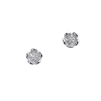 KWJ Botanical Mini Studs STG