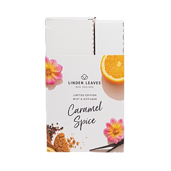 Caramel Spice Diffuser & Room Mist Value Set