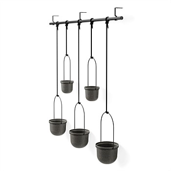 Triflora Hanging Planter, Set of 5