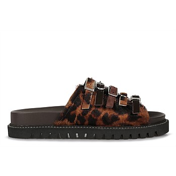 GAIA LEOPARD