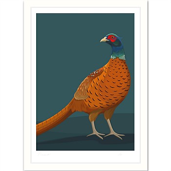 Framed Art Print - Pheasant