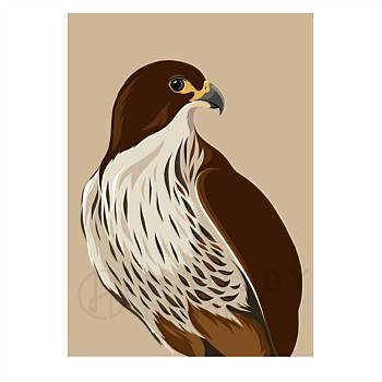 Art Print - Falcon - Caramel