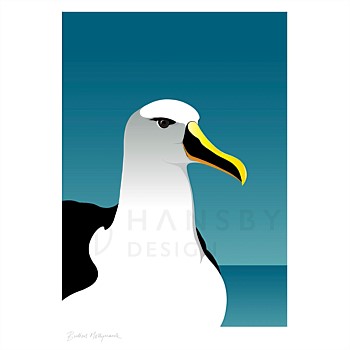 Art Print - Mollymawk Albatross