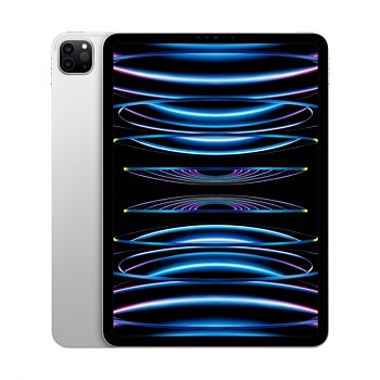 11-inch iPad Pro Wi-Fi 2TB