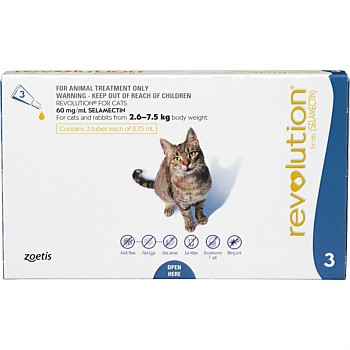 Flea Treatment for Cats