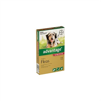 Flea Treatment For Dogs 10-25kg