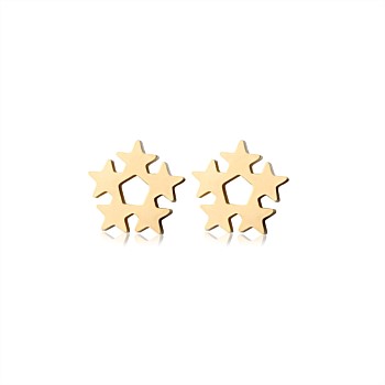 Star Cluster Studs
