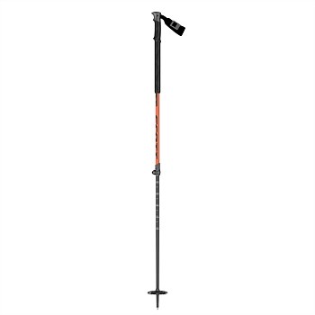 Ski Pole Aluguide