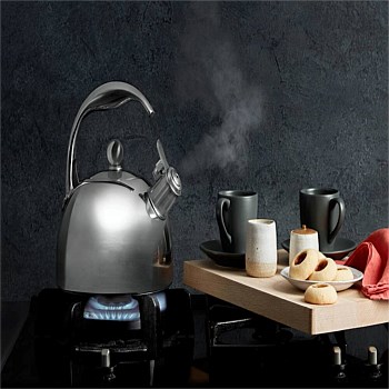 Stainless Steel Kettle