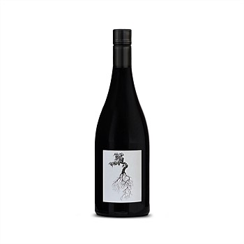 Pakiaka Syrah 2022