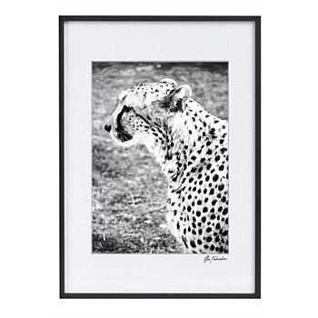 Curious Cheetah Print Wall Art