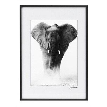 Elephant in the Mist Print