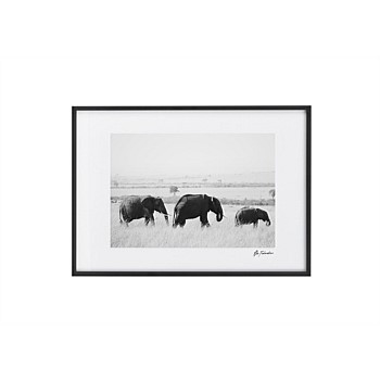 Elephant Migration Wall Art