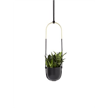 Bolo Hanging Planter