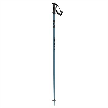 Ski Pole 540 Pro