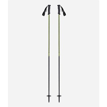 Stans Carbon Ski Poles