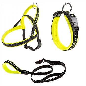 Sport Dog Collar, Lead and Harness