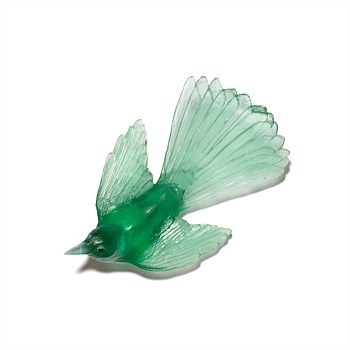 Pīwakawaka/Fantail