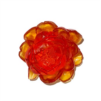 Peony Flower