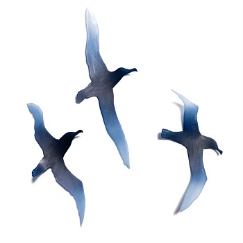 Global Glider - Toroa Set