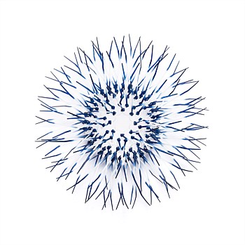 Kina - Navy