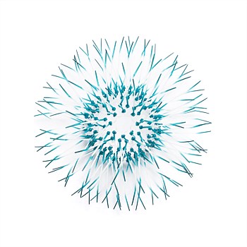Kina - Teal