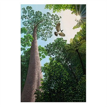 Into the Sun - Canvas Print