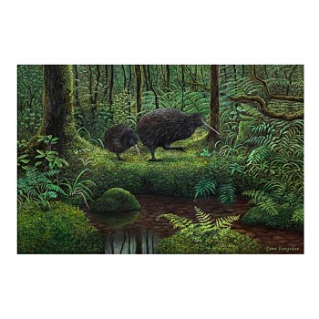 Kiwi In Coromandel - Canvas Print