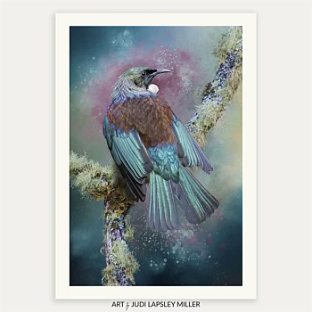 Resolute Beauty (Tūī)