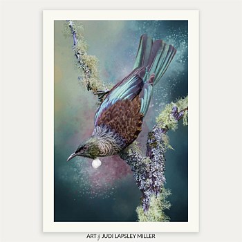 Graceful Splendour (Tūī)