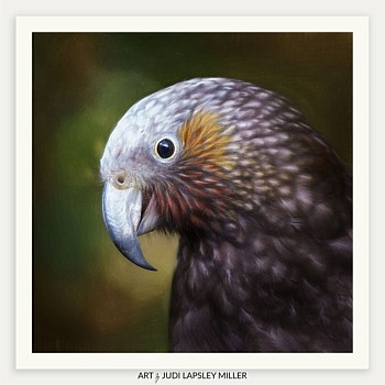 The Muse (Kākā)