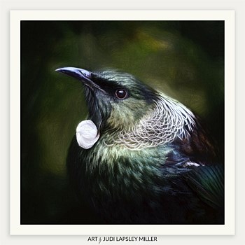 The Judge (Tūī)