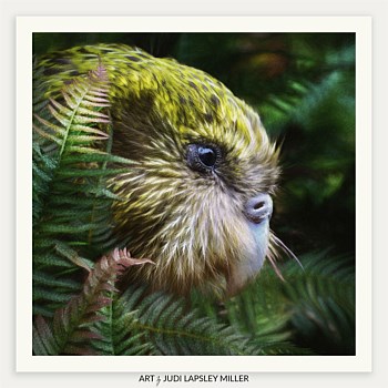 Ferny Friends Kenneth (Kākāpō)
