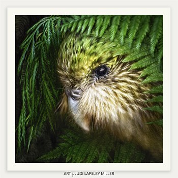 Ferny Friends Galaxy (Kākāpō)