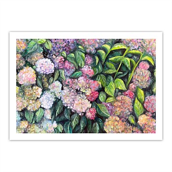 Mother’s Hydrangeas Print