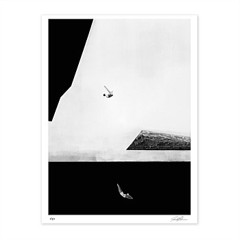 Freestyle - Limited Edition Print