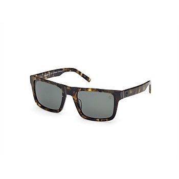 Timberland Sunglass TBTB00042