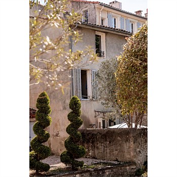 Provençal Charm Print
